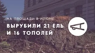 На площади в Изюме вырубили 21 ель и 16 тополей