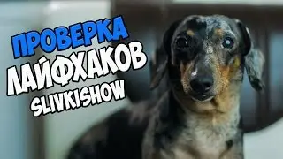 ПРОВЕРКА ЛАЙФХАКОВ С КАНАЛА Slivki Show - не всё работает!!!