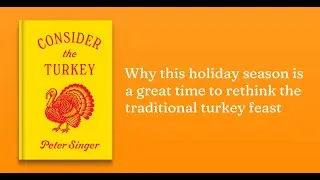 Consider the Turkey 