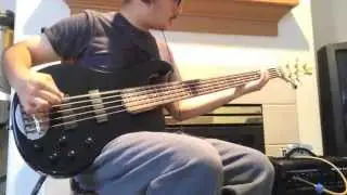 Super Low Drop F# bass tuning on Lakland 5 string bass