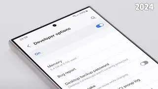How to Enable Developer Options on Galaxy S24/S23/S22