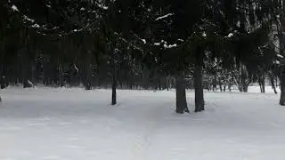 Настоящая зима в Беларуси
