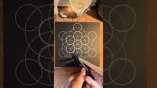 How to draw the Fruit of Life. fast #sacredgeometryartist