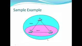 PVST-Per VLAN Spanning Tree Protocol