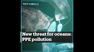 PPE in seas is a 'new type of pollution' after the Covid-19 pandemic