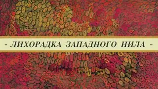 Лихорадка Западного Нила у птиц. Признаки, передача,  восприимчивость, профилактика,   диагностика.