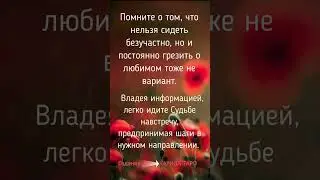 #предсказание