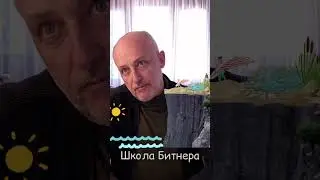 Причины нелепицы