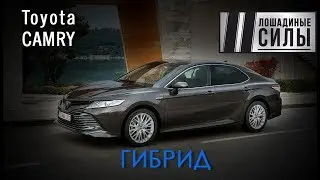 Гибриды побеждают? Первый тест Toyota Camry Hybrid 2019