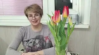 113. Когда ВЫСЕВАТЬ ранние и скороспелые ТОМАТЫ? Легкий способ посадки ультраранних томатов.