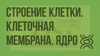 Строение клетки. Клеточная мембрана. Ядро. Видеоурок по биологии 10 класс