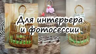 Для интерьера и фотосессии!