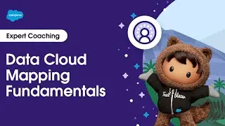 Data Cloud: Mapping Fundamentals | Expert Coaching