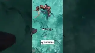 A little girl got bitten by a shark