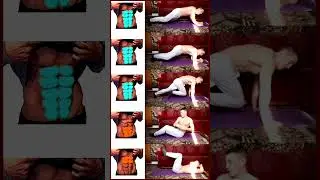 six pack abs exercises at home #shorts #abs #sixpackabs #absexercise #absworkout