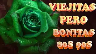 Las Mejores Éxitos Romanticos Inolvidables 🌹 1 Hora De Música Romántica Viejitas Pero Bonitas 80 90s