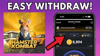 How To Withdraw Money From Hamster Kombat - EASY (2024)