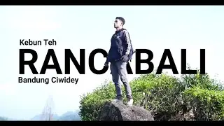 KEBUN TEH RANCABALI CIWIDEY BANDUNG || DEKAT WISATA SITU PATENGGANG