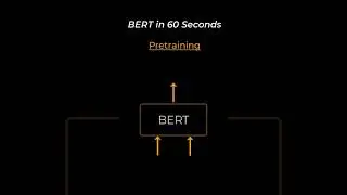 BERT Networks in 60 seconds