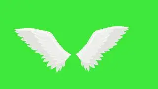 Green screen angel wings animation free to use(only for subscribers use)