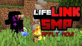 Lifelink SMP - SMP For Upcoming Creators (Applications Open)