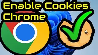 How To Enable Cookies On Google Chrome | Windows 11