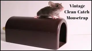 Vintage Clean-Catch Mousetrap. Mousetrap Monday