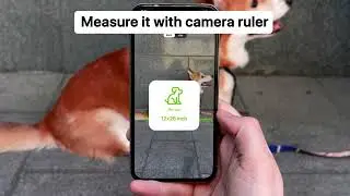 My Scanner - Digital Ruler in AR (Dog Carrier)