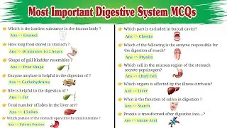 Digestive System MCQs | General Knowledge MCQs