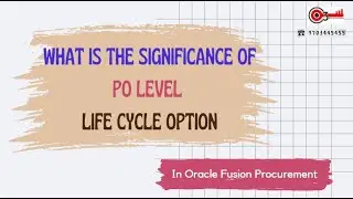 What is the Significance of PO level Life Cycle option in Oracle Fusion Procurement?