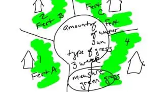 Scientific Method - Constant vs Control