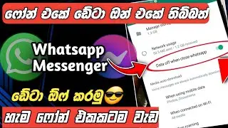 වට්සැප් එකේ විතරක් ඩේටා ඕෆ් whatsapp data off setting sinhala | Whatsapp online hide sinhala 2024