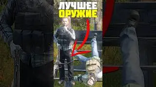 САМОЕ ЛУЧШЕЕ ОРУЖИЕ в DAYZ 