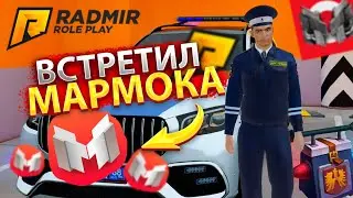 ВСТРЕТИЛ МАРМОКА НА РАДМИРЕ!? ВЕРНУЛСЯ НА RADMIR RP ПОСЛЕ ДОЛГОГО ПЕРЕРЫВА! ОБСУЖДАЕМ ПЛАН ДЕЙСТВИЙ