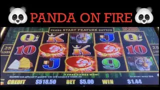 🐼 PANDA ON FIRE 🐼 DRAGON LINK PANDA MAGIC SLOT MACHINE 🎰 POKIE WINS