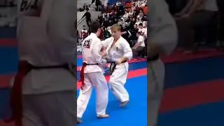 kyokushin karate KO karate knockout @kyokushinbul @Kyokushinway  #shorts #kyokushin