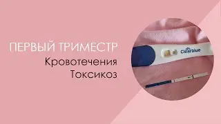 Первый триместр второй беременности. Кровотечения. Токсикоз.