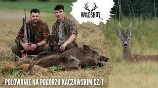 #2 Polowanie na Pogórzu Kaczawskim CZ.I | Wild Boar & Roe Buck Hunting in Poland