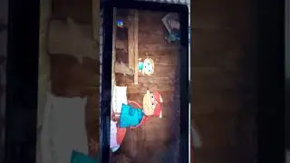 жихарка