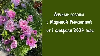Дачные сезоны с Мариной Рыкалиной от 1 февраля 2024 года