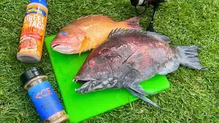 Catch n’ Cook Toothy Hogfish (Hawaii Fishing)