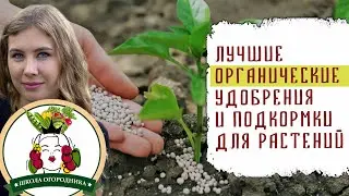 ЛУЧШИЕ ОРГАНИЧЕСКИЕ УДОБРЕНИЯ И ПОДКОРМКИ ДЛЯ РАСТЕНИЙ. ЧАСТЬ 1