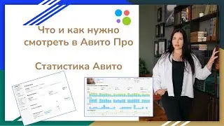 Что и как нужно смотреть в личном кабинете Авито Про. Статистика в Авито