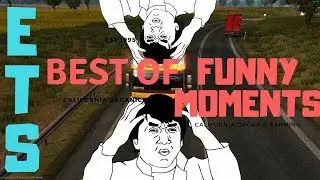Euro Truck Simulator - IDIOTS ON THE ROAD | BEST OF #8