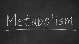 Do You Have a Slow or Fast Metabolism? Here's How to Calculate Your Metabolic Score