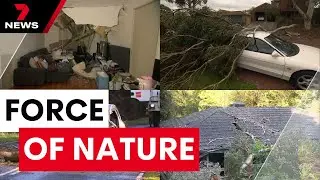 Melbourne’s southeast hit hard, SES continues to tackle storm damage | 7NEWS