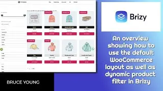 Brizy and WooCommerce with dynamic product filters