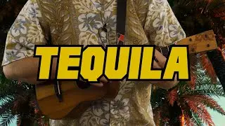 Tequila // World's Best Ukulele Cover