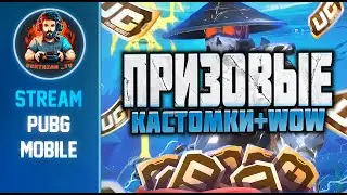 ✨ ПРИЗОВЫЕ КАСТОМКИ ОТ BRIGADA ORGANIZATION В ПАБГ МОБАЙЛ ✨ СТРИМ ПУБГ МОБАЙЛ ✨