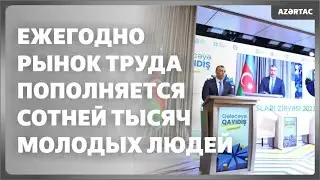 Сахиль Бабаев: Ежегодно рынок труда пополняется сотней тысяч молодых людей